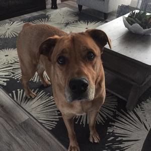 Meet your Posher, Christine